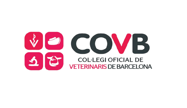 logo_colegio_barcelona-removebg-preview