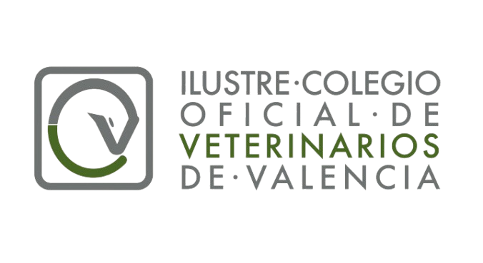 logo_colegio_valencia-removebg-preview